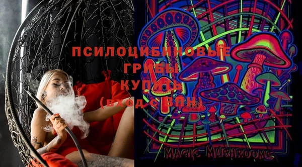 MDMA Няндома